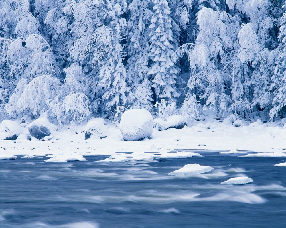Julträff med Byggnadsvård Nerike!